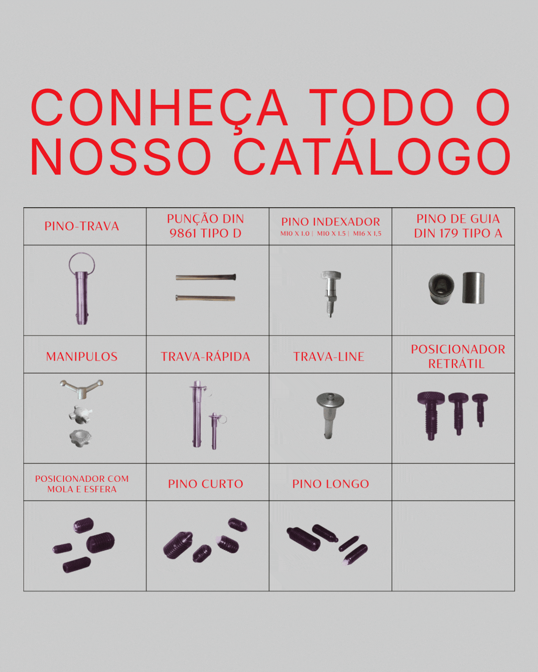 Conhe�a todo o nosso cat�logo